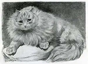 Chicot: The Cat Show at the Crystal Palace by Louis Wain