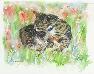 Curled: Cat curled up in Grass with Flowers