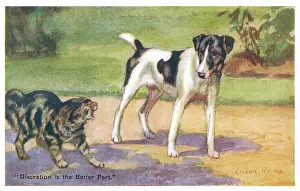 Discretion: Cat and Dog