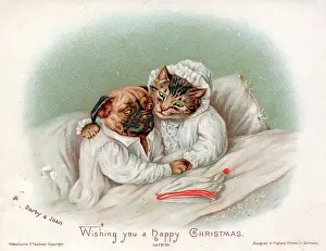 Nightshirt: Cat and dog in bed on a Christmas card