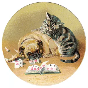 Ripping: Cat and dog on a circular greetings card