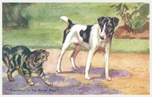 Geographia: Cat & Dog Fight