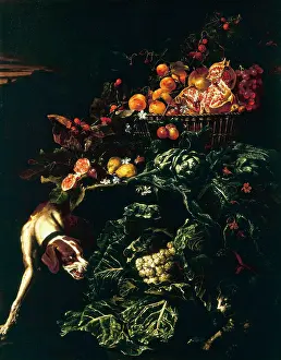Morta: Cat and dog with fruit