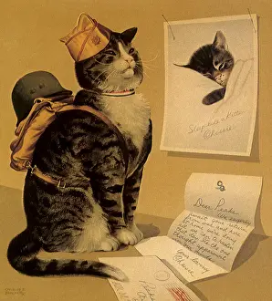 Nationalistic: Cat dressed up for War