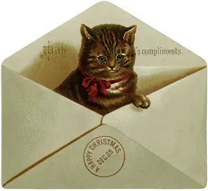 Pops: Cat in Envelope
