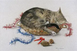 Tinsel: Cat with fir cones and tinsel