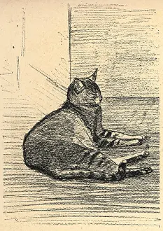 Steinlen: Cat On The Floor