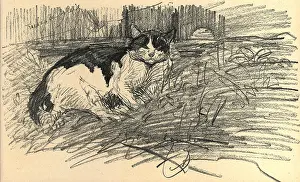 Steinlen: Cat In The Garden