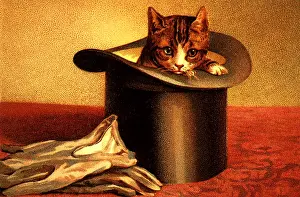 Illu: Cat in Hat