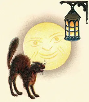 Hissing: Cat hissing at a lantern as the moon looks on