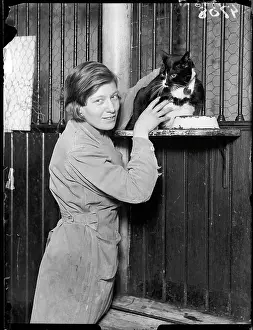 Craves: CAT IN A HOSTEL