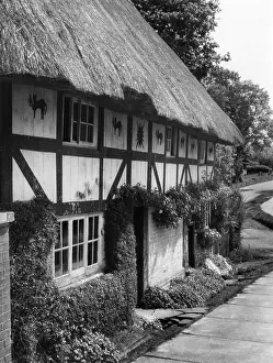 Henfield: THE CAT HOUSE