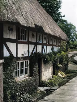 Henfield: THE CAT HOUSE