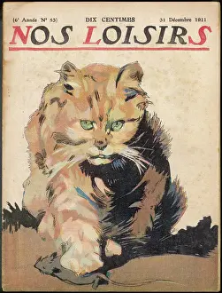 Traps: CAT HUNTS A MOUSE