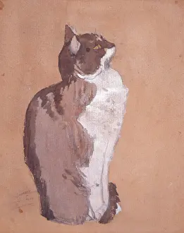 Wash: Cat
