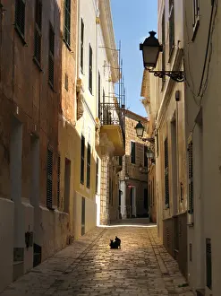Balearics: Cat and kitten sit in the middle of an alleyway, Ciutedella
