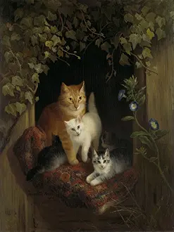 Bstp1601: Cat with Kittens