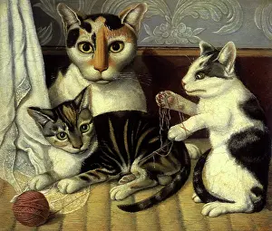 Woven: Cat and Kittens