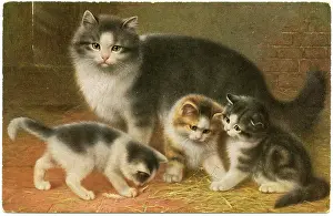 Oilette: Cat and three kittens