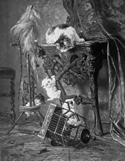 Grayham Chayney: Cat and three kittens with a birdcage