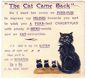 Puns: Cat and kittens with comic verse on a Christmas card