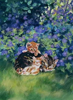 Lawns: Cat and two Kittens ? on lawn