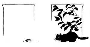 Crust: Cat under laurel bush, looking at crust