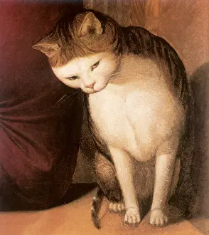 Felines: Cat leans against Man