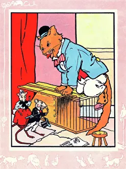 Tune: Cat lets mouse out of trap