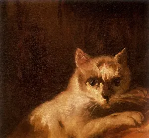 1730s: Cat looking at Viewer
