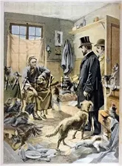 Recluse: CAT-LOVING RECLUSE