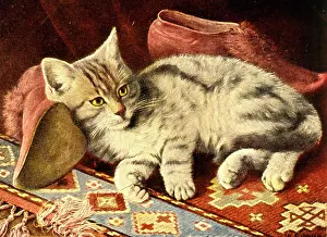 Slippers: Cat lying with slippers on a carpet