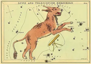 Constellations: Cat with Lynx and Telescope