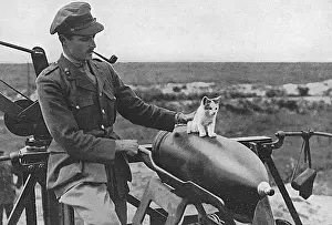 Mascots: Cat as a mascot of a gun crew on Western Front