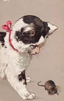Toying: Cat & mouse