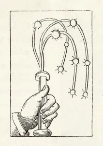Flogging: CAT O NINE TAILS
