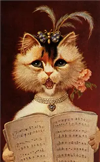 Aria: Cat Opera