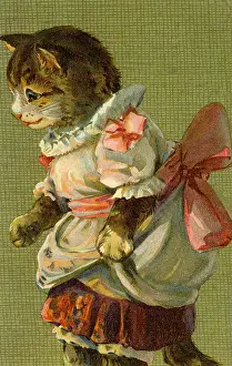 Anthropomorhic: Cat with pink bow by g h Thompson