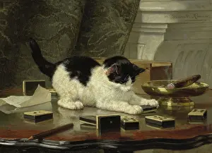 Dominoes: The Cat at Play