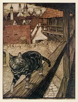 Arthur Rackham: CAT ON THE PROWL
