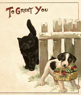 Thank: Cat and Puppy with Holly