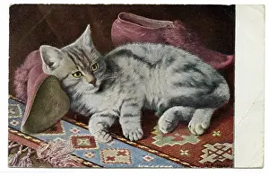 Tassels: Cat relaxing on a patterned carpet