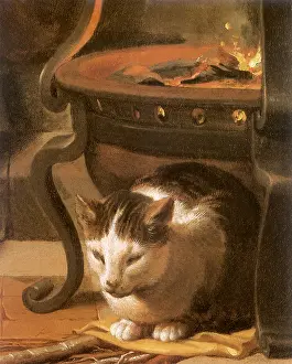 Brun: Cat resting under a Brazier