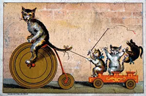 Phelps: Cat Riding Bicycle Towing Wagon with Kittens