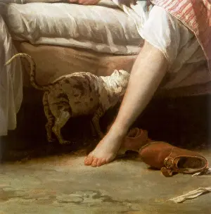 Rubbing: Cat rubbing against Woman's Leg