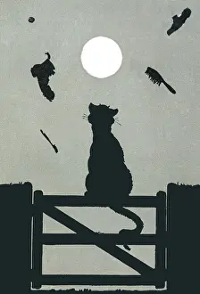 Hurled: Cat sits on fence