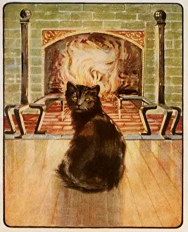 Felines: Cat sits near Fireplace