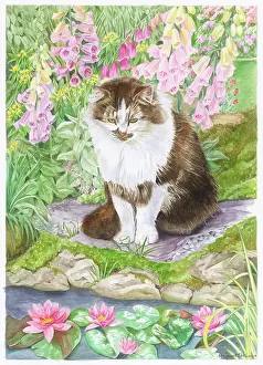 Waterlilies: Cat sitting by a pool with waterlilies