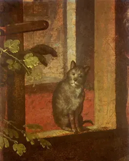 1560s: Cat sitting on a Windowsill