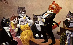 Accompaniment: Cat Soloist